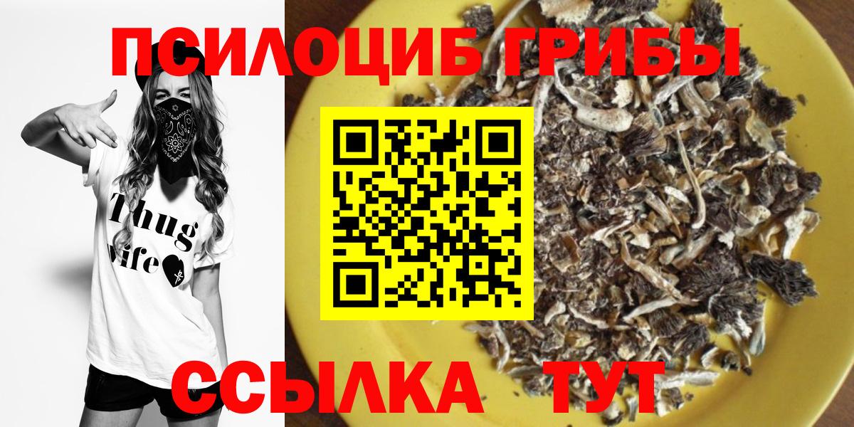 Псилоцибиновые грибы Psilocybe  Вход с VPN  Павлово 